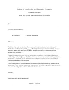 Costum Notice Of Termination Of Employment Template Word Sample