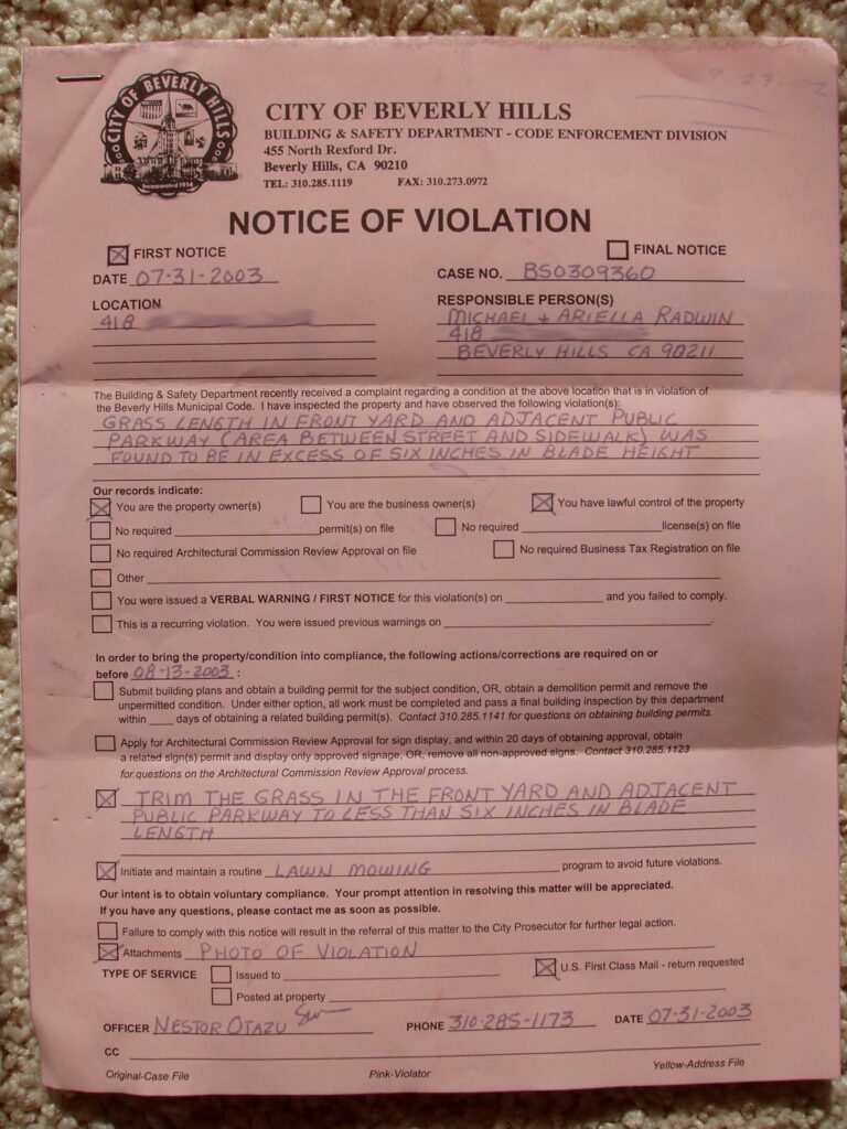 Costum Parking Violation Notice Template Word Example Tacitproject