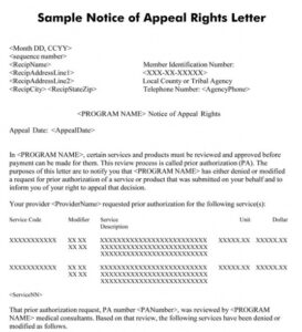 Notice Of Appeal Template Doc Sample