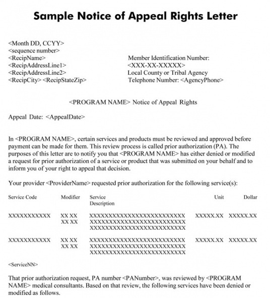 Notice Of Appeal Template Doc Sample