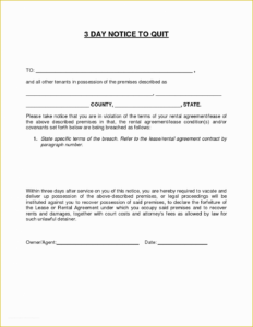 3 Day Eviction Notice Florida Template  Sample
