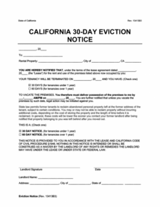 Costum 30 Day Eviction Notice Form Template Excel