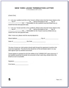 Costum Eviction Notice Template Ny Excel Sample