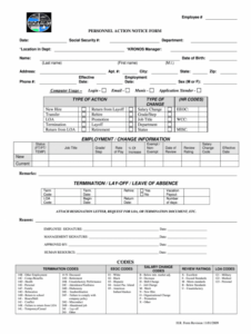 Personnel Action Notice Template Pdf Sample