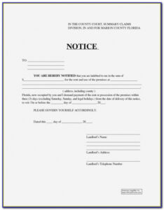 Printable 30 Day Eviction Notice Template Illinois  Example