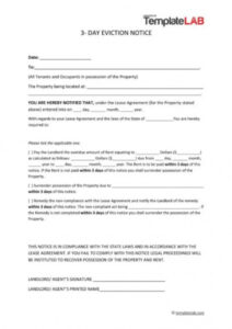 Professional Eviction Notice Ny Template  Sample