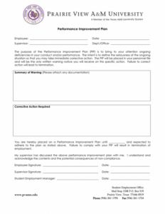 Editable Employee Improvement Notice Template Excel Example