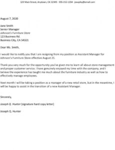 Professional Leaving Job Notice Letter Template Word Example