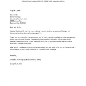 Professional Leaving Job Notice Letter Template Word Example