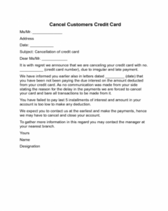 Professional Credit Notice Template Pdf