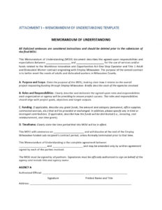 Free Risk Memorandum Template  Example