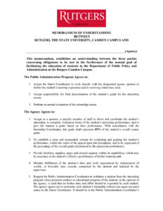 Professional Binding Memorandum Of Understanding Template Doc