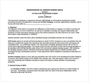 Professional Binding Memorandum Of Understanding Template  Example