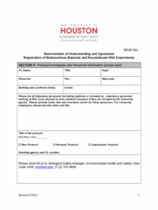 Professional Tax File Memorandum Template Word