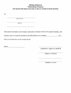 Costum Tenancy Termination Notice Template  Example