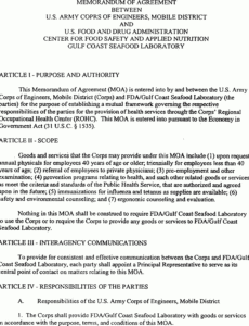 Army Memorandum Of Agreement Template Excel Example