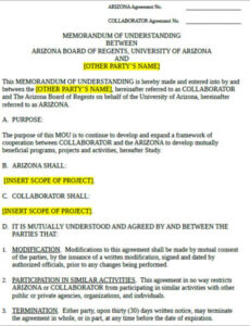 Costum Business Memorandum Of Understanding Template Excel