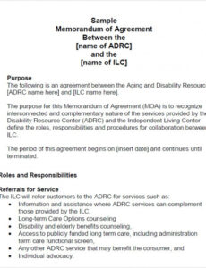 Costum Dod Memorandum Of Understanding Template  Example