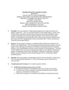 Memorandum Of Understanding Between Two Companies Template Word