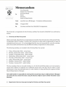 Professional Internal Audit Planning It Memorandum Sample Template Excel