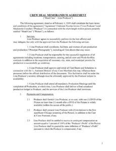 Professional Internal Operations Memorandum Template  Example