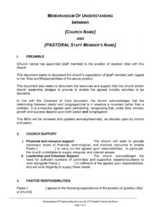 Professional Memorandum Of Authorities And Points Template  Sample