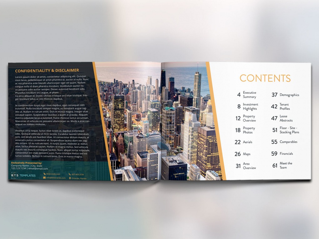 Commercial Real Estate Offering Memorandum Template Excel