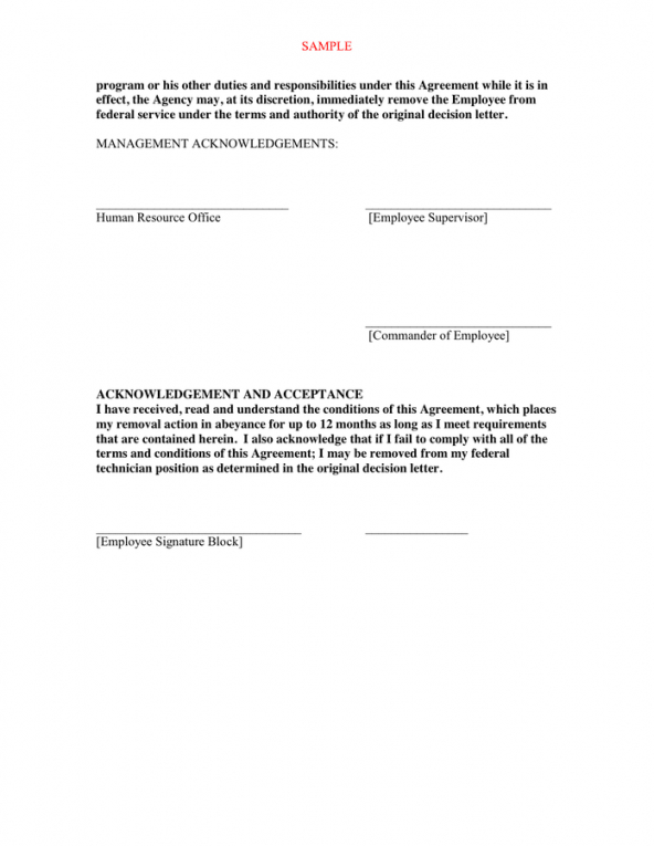 Editable Final Chance Memorandum Education Template Excel