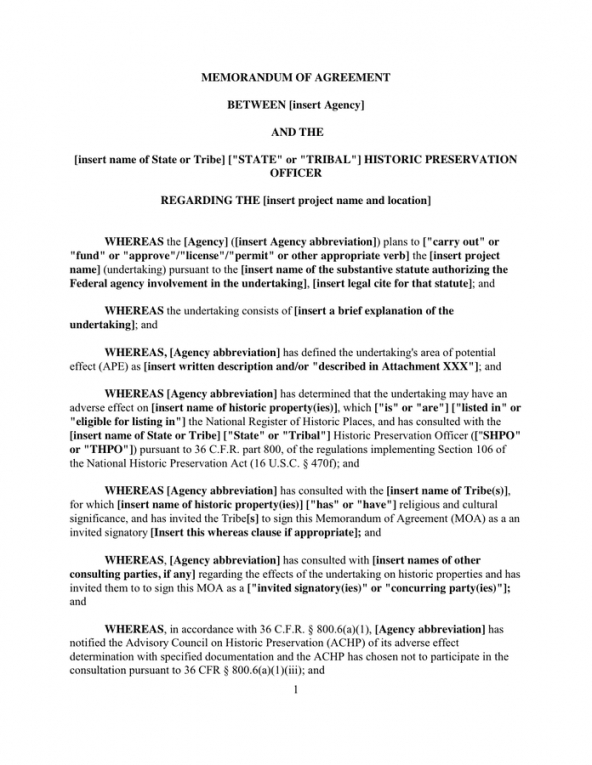 Professional Final Chance Memorandum Education Template Example ...