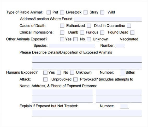 Animal Report Template Word Sample