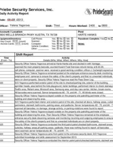 Best Daily Activity Report Security Template Excel Example