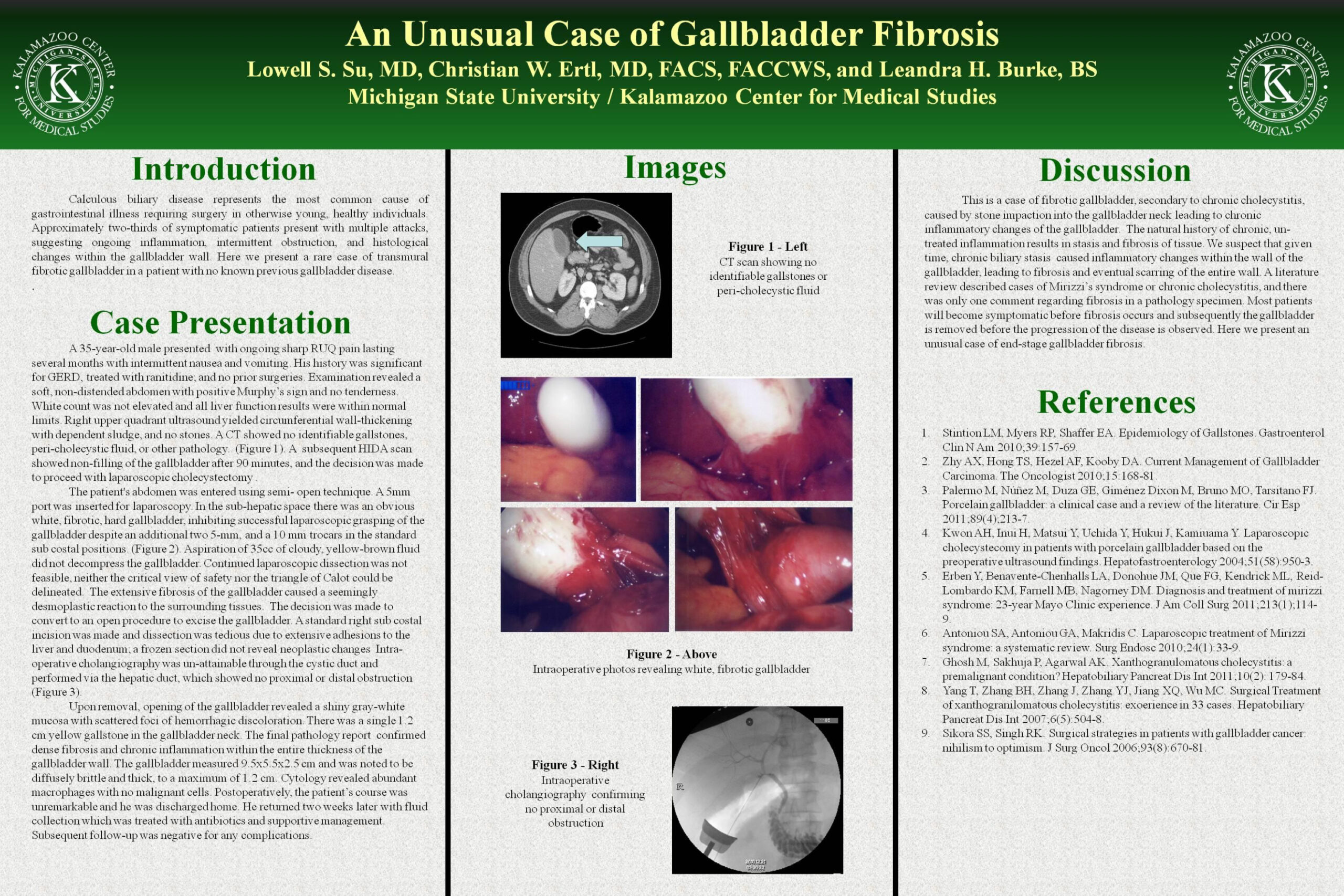 Case Report Poster Presentation Template Example Tacitproject