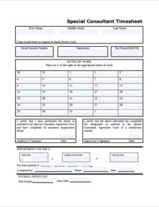 Consultant Monthly Report Template