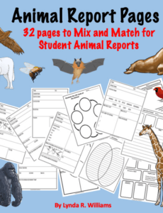 Costum Animal Report Template Pdf Sample