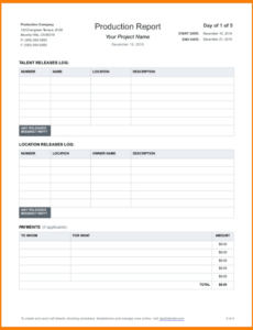 Costum Daily Activity Report Template Pdf Sample