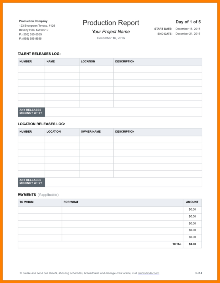 Costum Daily Activity Report Template Pdf Sample