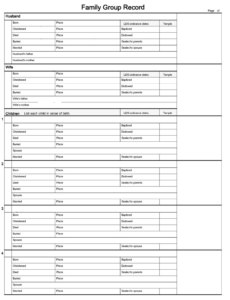 Costum Genealogy Report Template Excel Example
