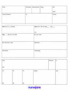 Costum Icu Report Sheet Template  Sample