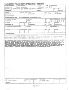 Costum Police Report Template For Theft Pdf Sample