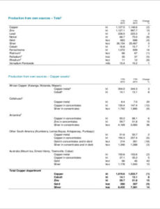 Costum Production Report Template Word Example