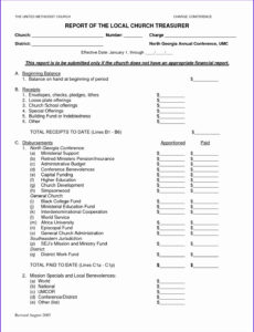 Costum Treasurer Report Template