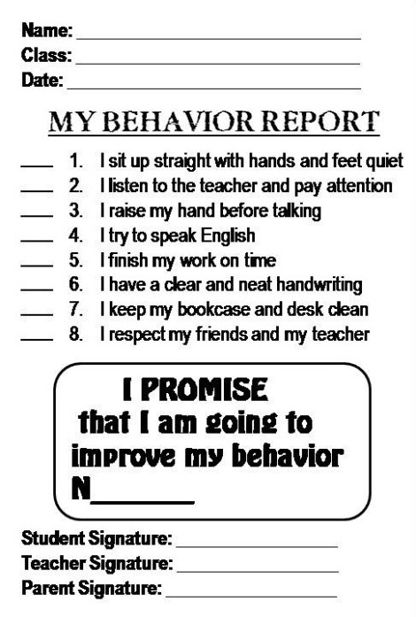 Editable Behavior Report Template Excel