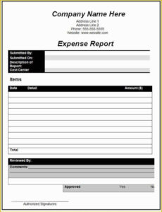 Editable Business Trip Report Template  Sample