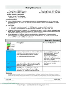 Editable Executive Status Report Template Excel Example