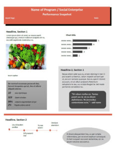 Editable Impact Report Template Pdf Example