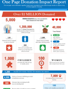 Editable Impact Report Template Pdf Example
