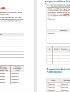 Editable Penetration Test Report Template  Example