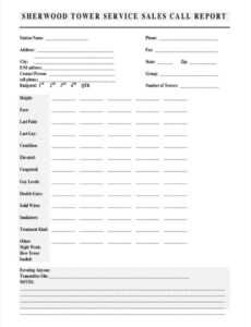 Editable Sales Call Report Template Excel Sample