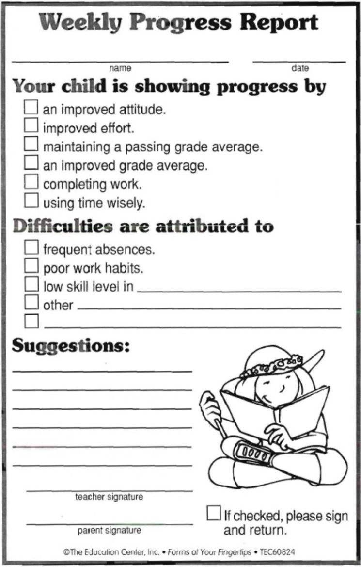 Free Behavior Report Template Pdf Example