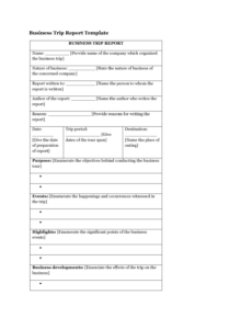 Free Business Trip Report Template Doc Example